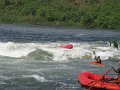 689 677 IMG_2847